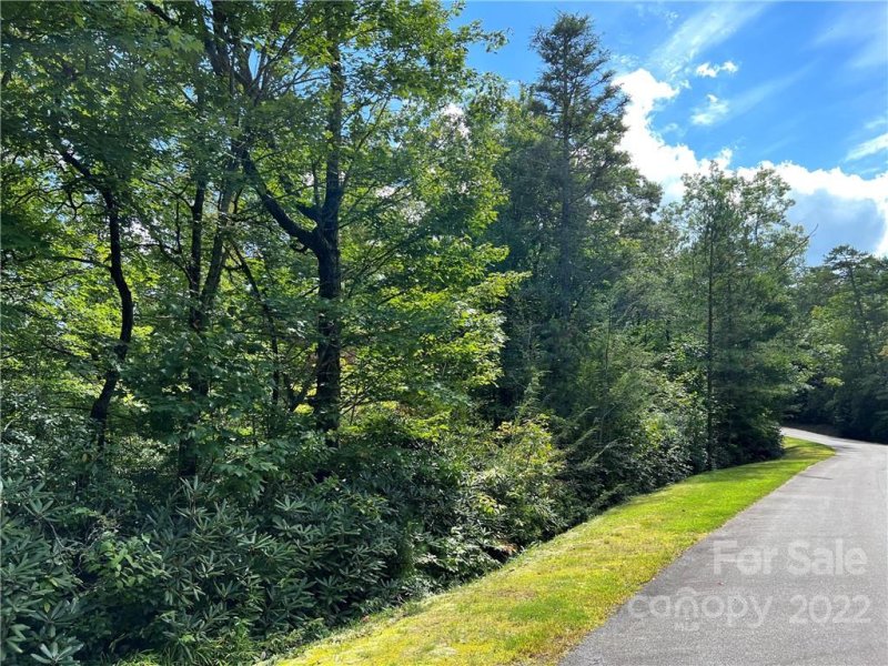 Property image 2 at M93 Hawks Crest, Brevard, NC 28712