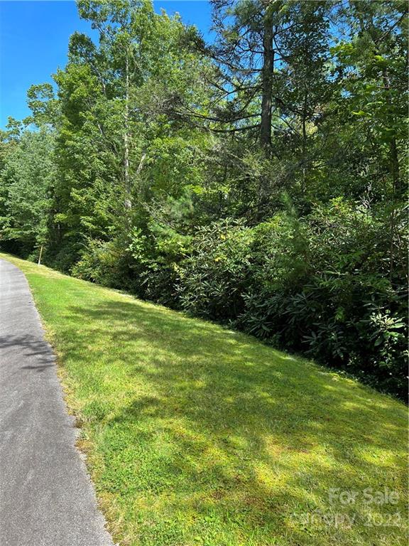 Property image 5 at M93 Hawks Crest, Brevard, NC 28712