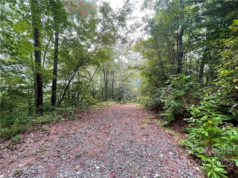 Property image 3 of Lt 53 Still Branch Rd Still Branch Road in Mountain Heritage Preserve, Sylva, NC 28779