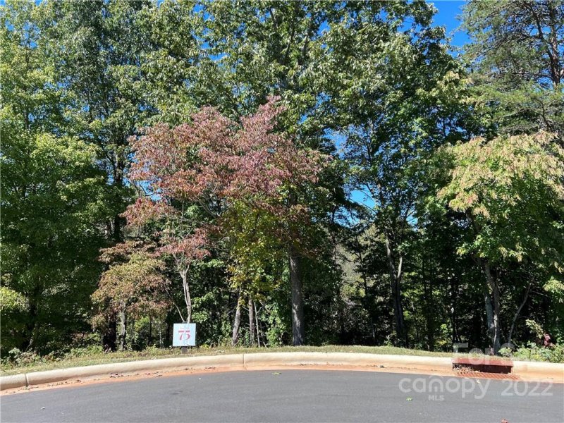 Property image 3 at 406 Blue Mind Way, Asheville, NC 28804