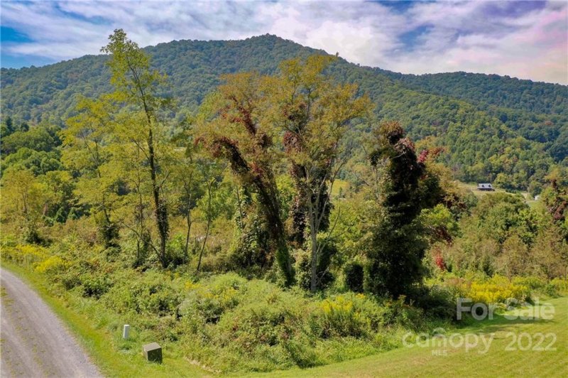 Property image 4 at 00 Split Pine Cove, Clyde, NC 28721