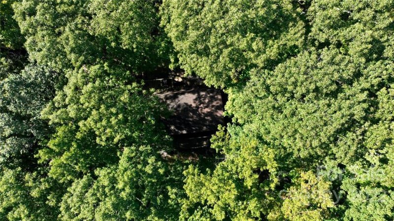 Property image 5 at 813 Pine Ridge Road, Beech Mountain, NC 28604