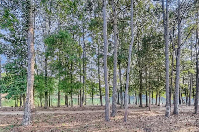 Property image 3 at 179 Lavender Bloom Loop, Mooresville, NC 28115