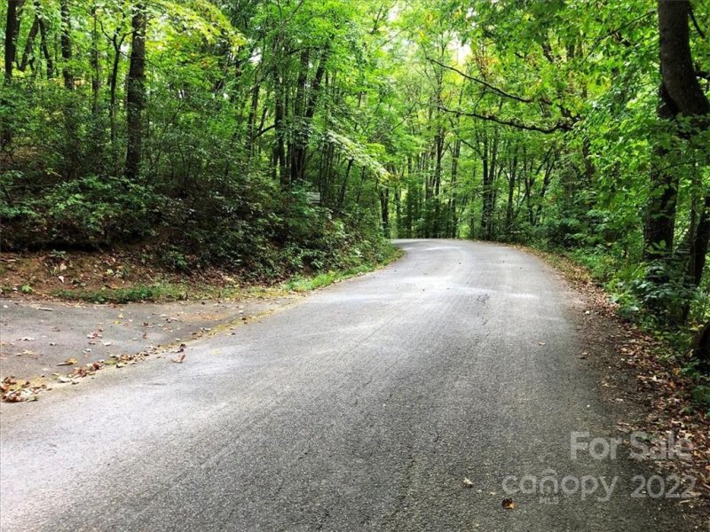 Property image 3 at L 125 Sleepy Hollow Drive, Waynesville, NC 28785