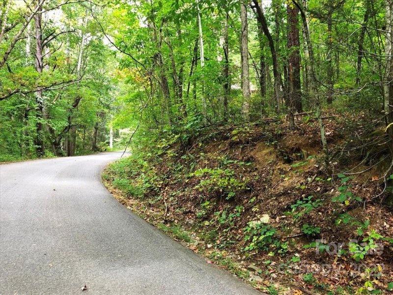 Property image 4 at L 125 Sleepy Hollow Drive, Waynesville, NC 28785