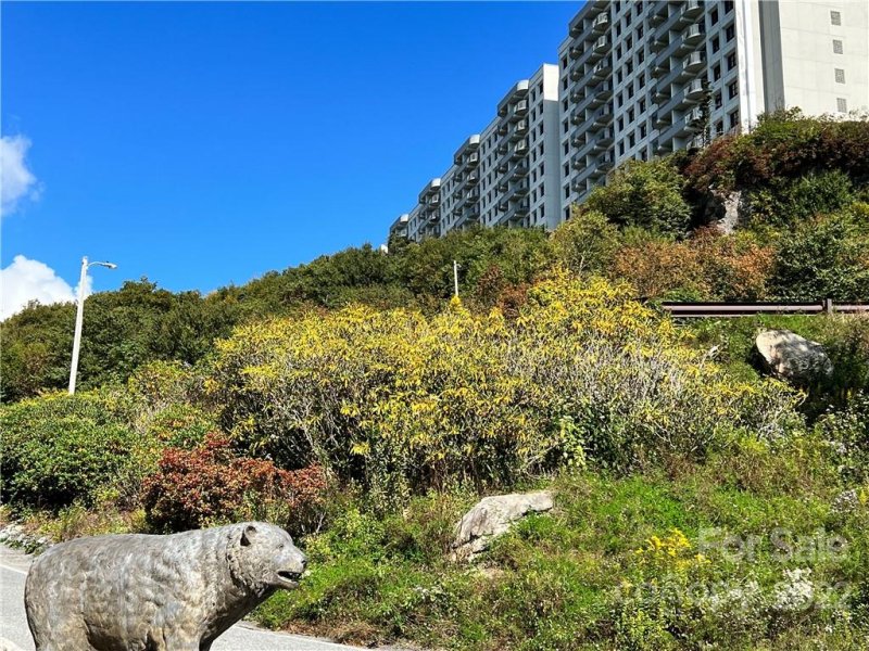 Property image 2 at 303 Sugar Top Drive, Sugar Mountain, NC 28604