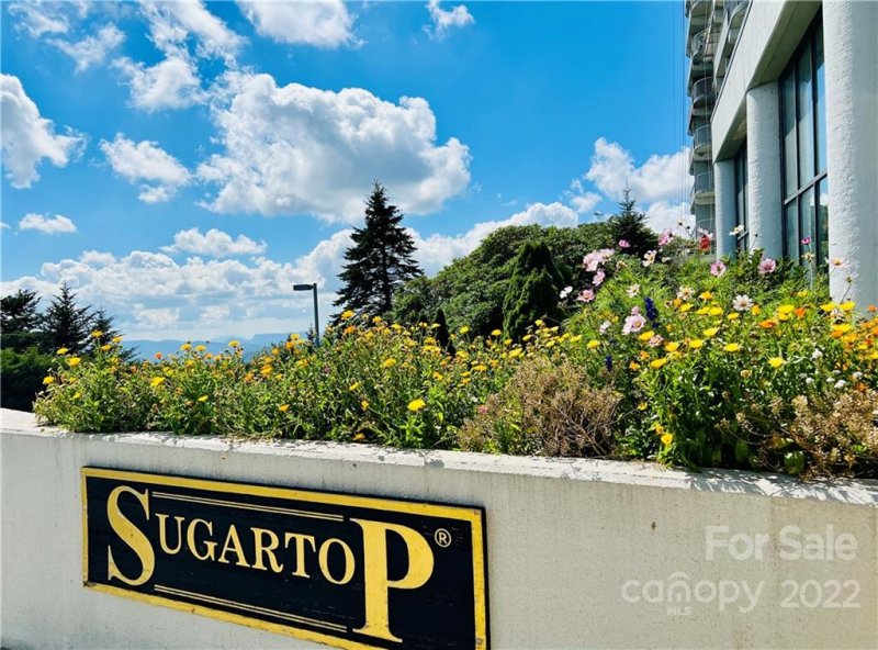 Property image 3 at 303 Sugar Top Drive, Sugar Mountain, NC 28604