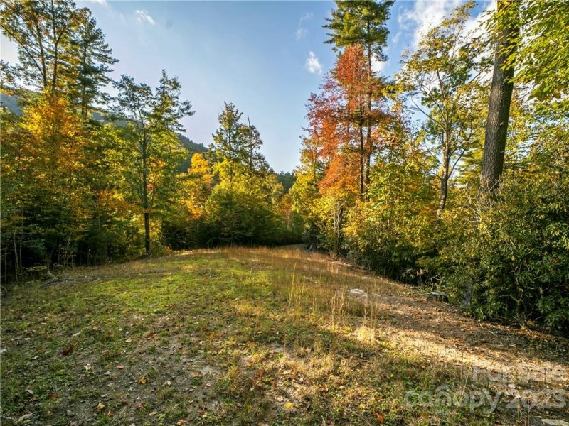 Lot 93 Peppervine Circle