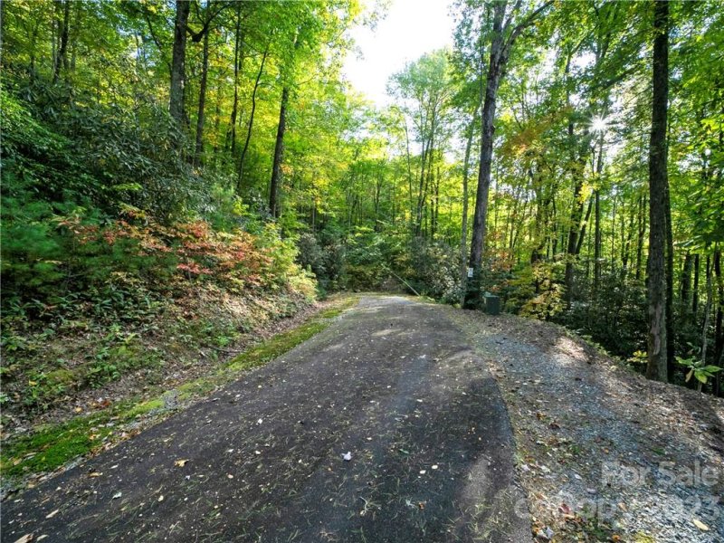 Property image 5 at Lot 93 Peppervine Circle, Rosman, NC 28772