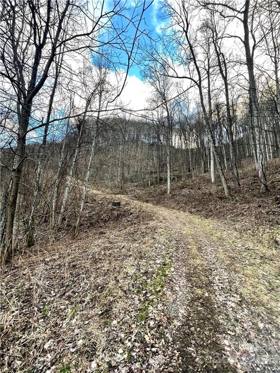 Property image 4 at 148 Granite Cliffs Court, Waynesville, NC 28785