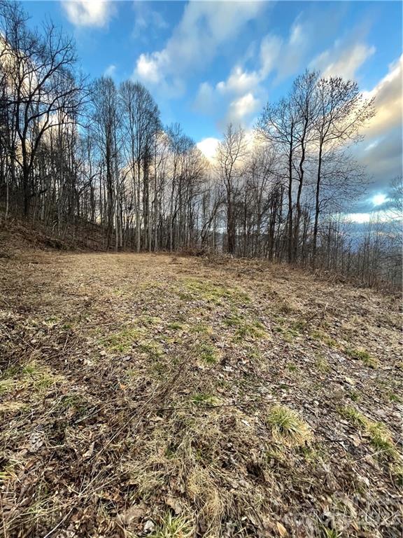 Property image 2 at 144 Granite Cliffs Court, Waynesville, NC 28785