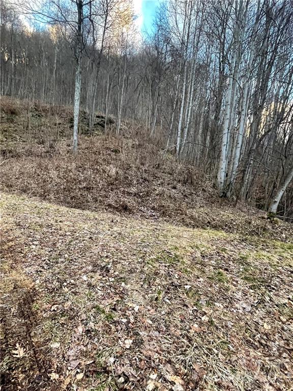 Property image 3 at 144 Granite Cliffs Court, Waynesville, NC 28785