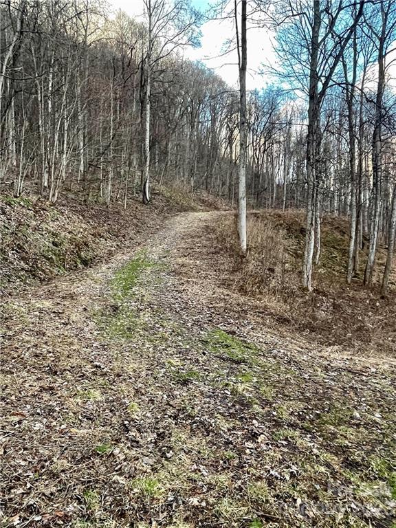 Property image 4 at 144 Granite Cliffs Court, Waynesville, NC 28785