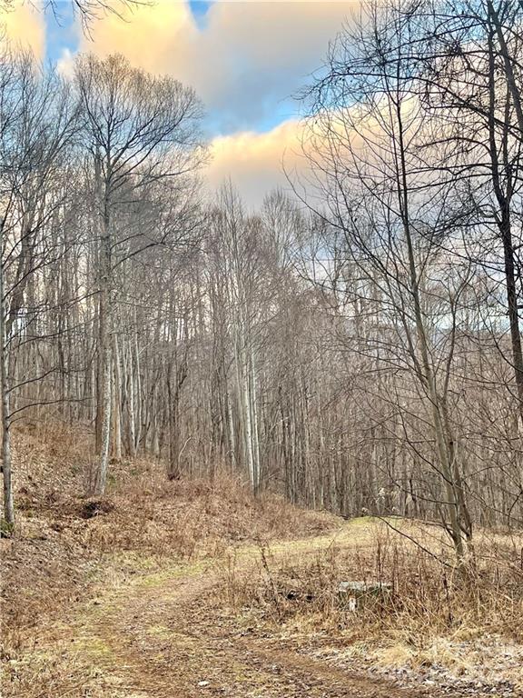 Property image 5 at 144 Granite Cliffs Court, Waynesville, NC 28785