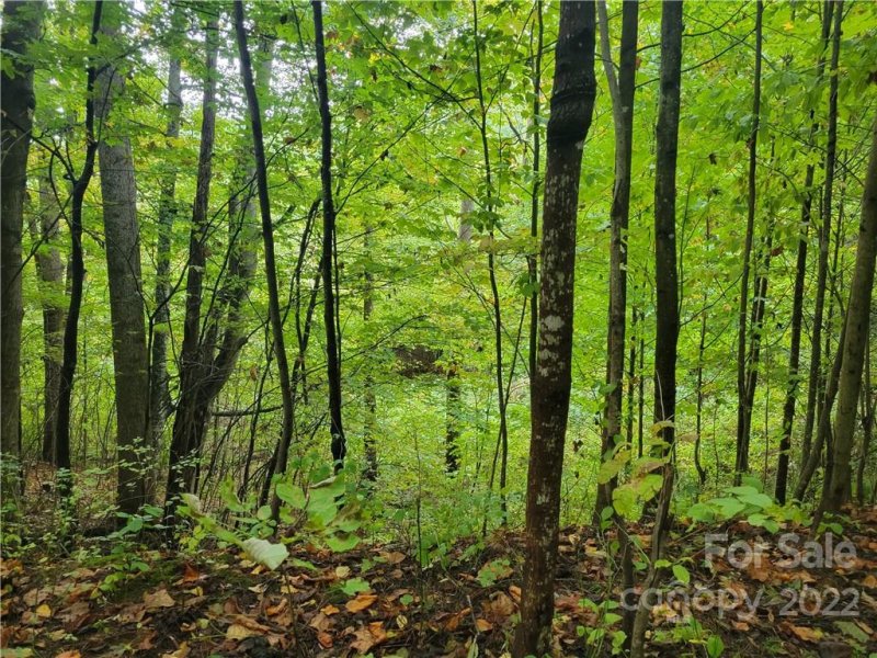 Property image 2 at 21 Early Spring Way, Leicester, NC 28748