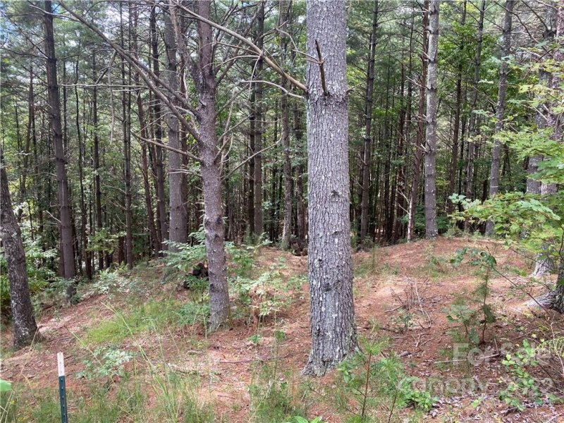 Property image 2 at Lot 86 Crest View Drive, Nebo, NC 28761