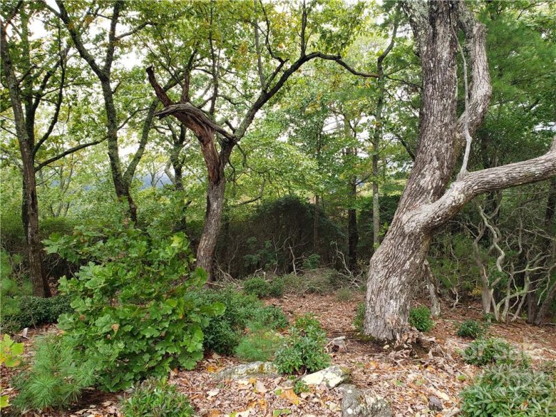 Property image 3 at 104 Windcliff Drive, Asheville, NC 28803