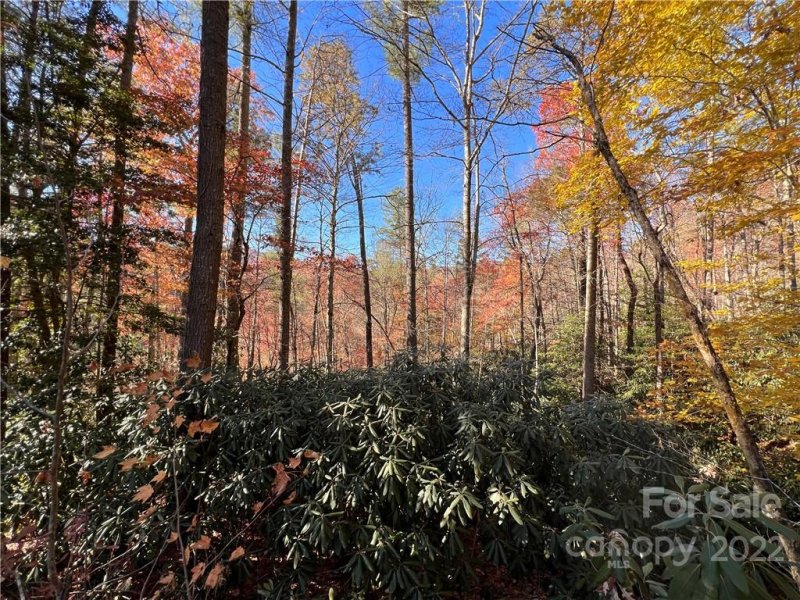 Property image 2 at 000 Cub Den Drive, Marshall, NC 28753