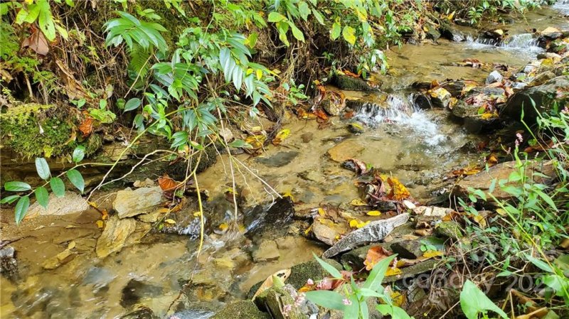 Property image 3 at 333 Ladd Ridge, Rosman, NC 28772