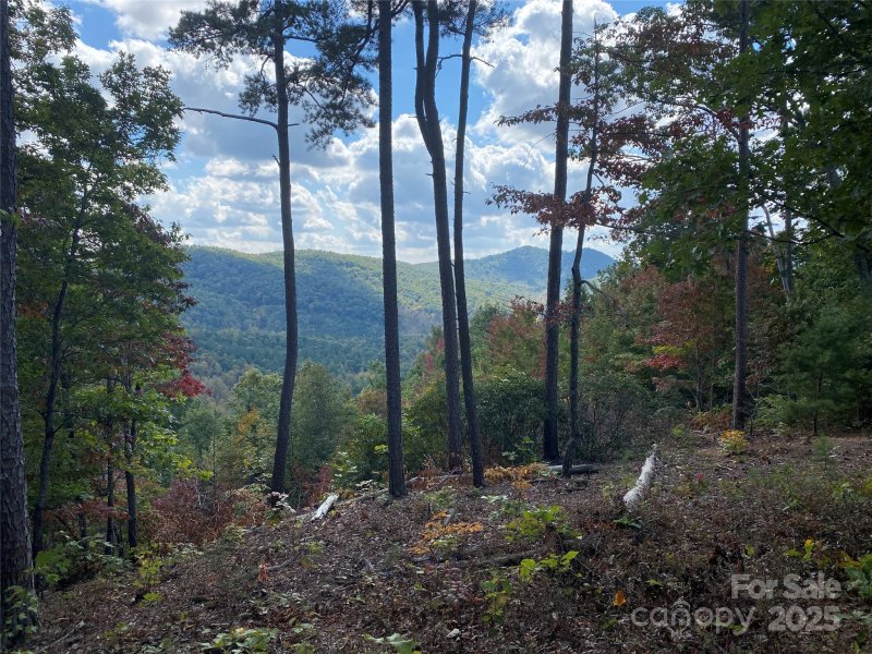 Property image 5 of 61 Scenic Vista Drive in Grandview Peaks, Nebo, NC 28761