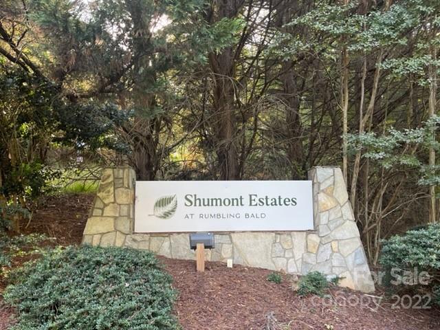 Property image 3 at 0 Flynn Court, Lake Lure, NC 28746