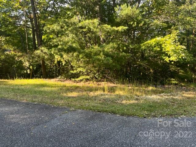 Property image 4 at 0 Flynn Court, Lake Lure, NC 28746