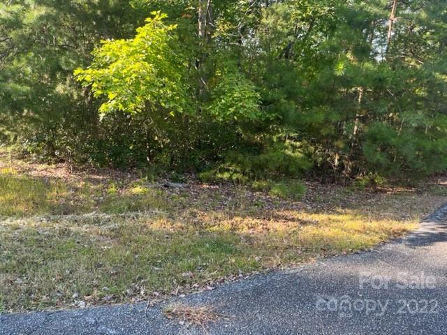 Property image 5 at 0 Flynn Court, Lake Lure, NC 28746