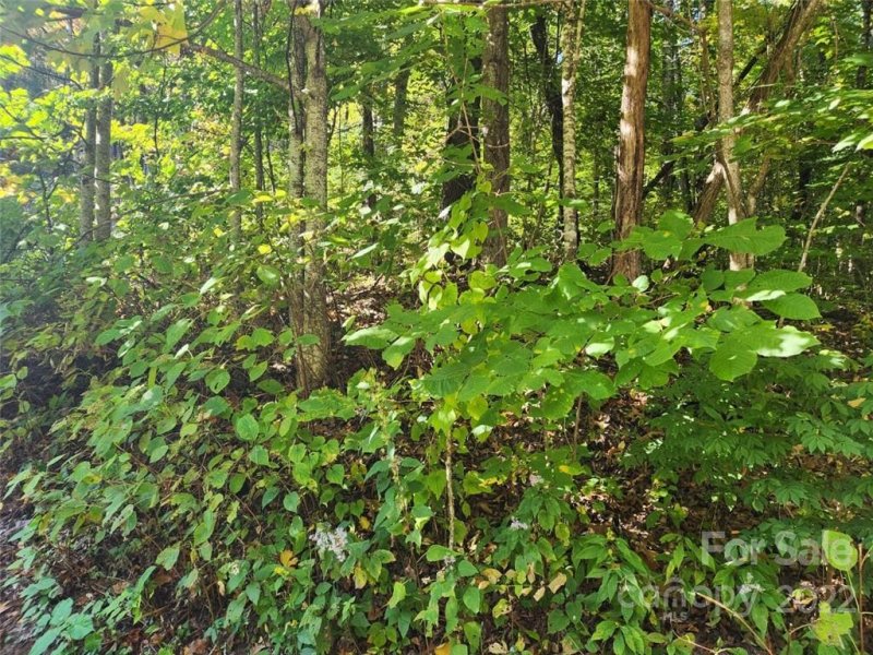 Property image 2 of 00 Staymon Road in Apple Creek Acres, Waynesville, NC 28786