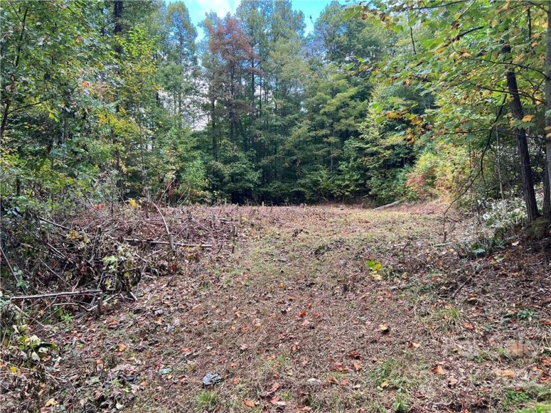 Property image 2 at 283 Rippling Brook Road, Sylva, NC 28779