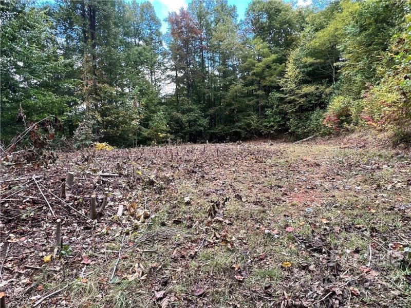 Property image 3 at 283 Rippling Brook Road, Sylva, NC 28779