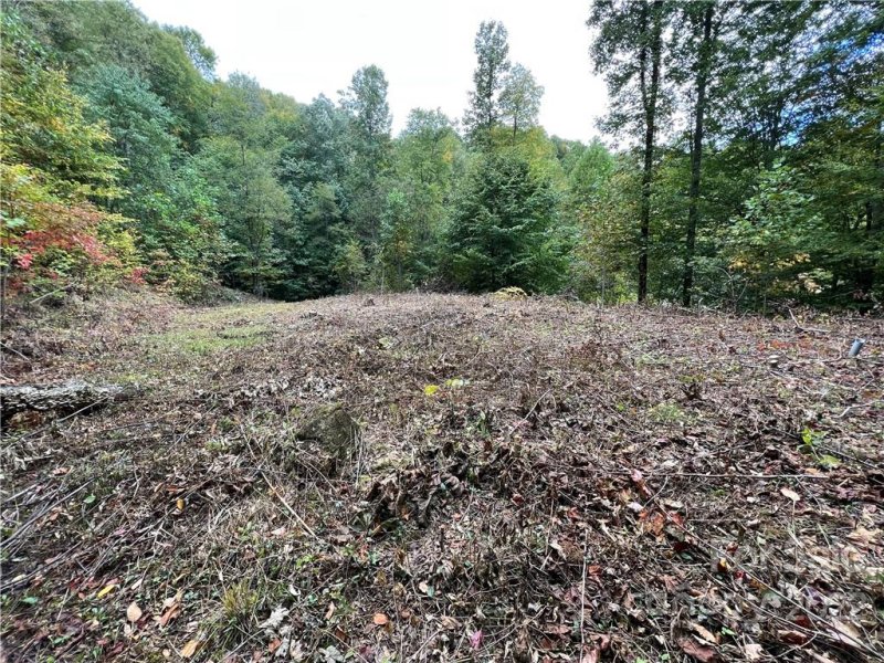 Property image 4 at 283 Rippling Brook Road, Sylva, NC 28779