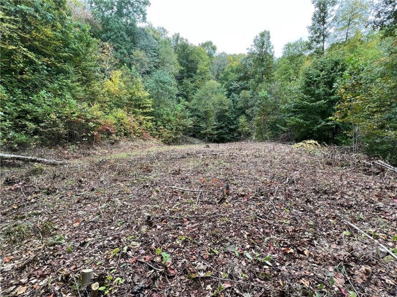 Property image 5 at 283 Rippling Brook Road, Sylva, NC 28779