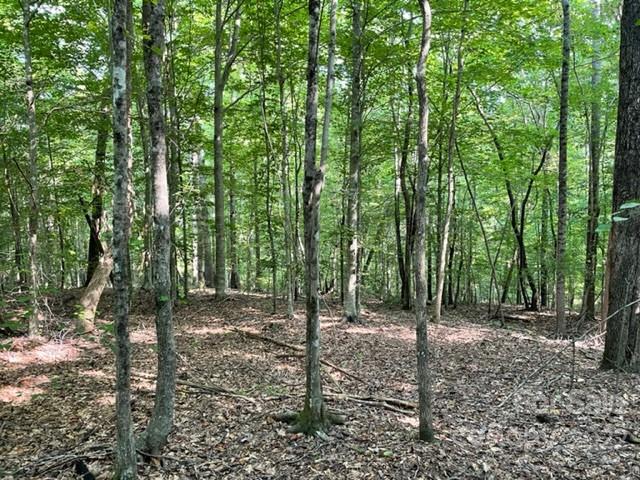 Property image 3 at 0 Pumkin Patch Road, Rutherfordton, NC 28139