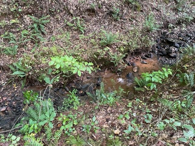 Property image 4 at 0 Pumkin Patch Road, Rutherfordton, NC 28139