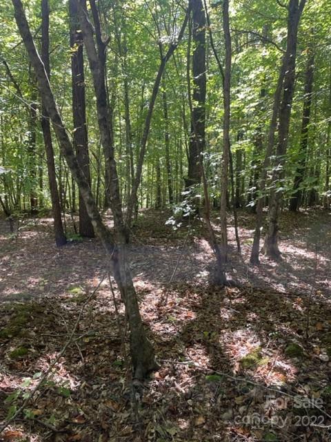 Property image 5 at 0 Pumkin Patch Road, Rutherfordton, NC 28139