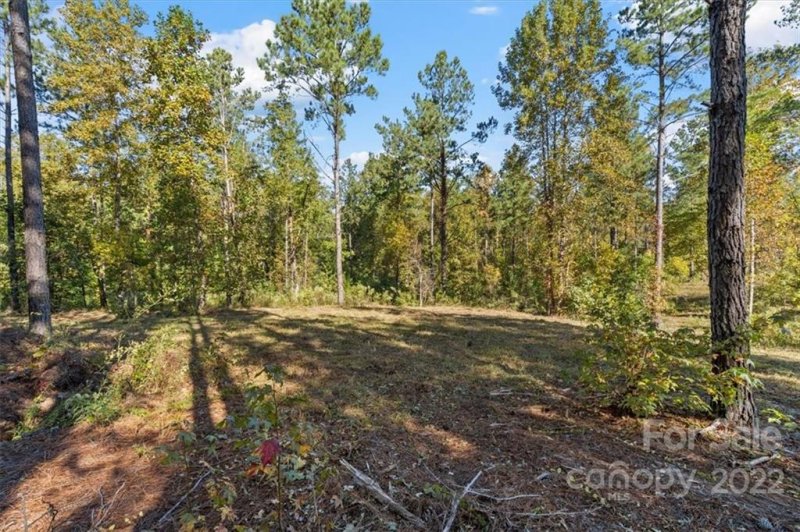 Property image 2 at 5147 Star Magnolia Court, Clover, SC 29710