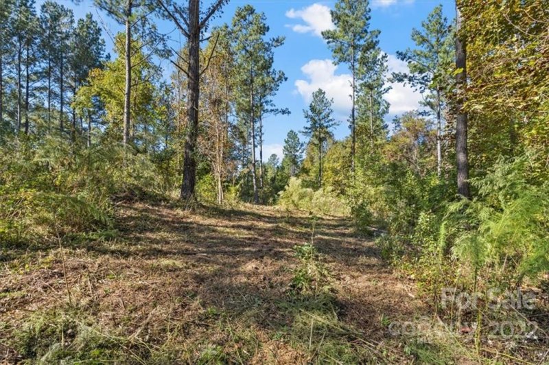 Property image 3 at 5147 Star Magnolia Court, Clover, SC 29710