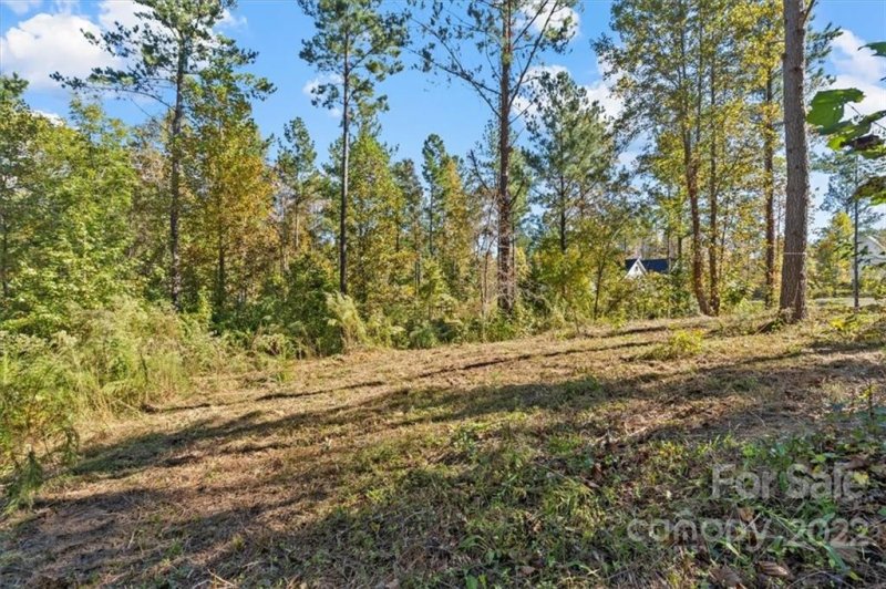 Property image 4 at 5147 Star Magnolia Court, Clover, SC 29710