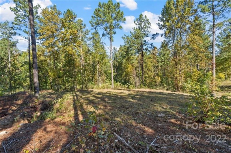 Property image 5 at 5147 Star Magnolia Court, Clover, SC 29710