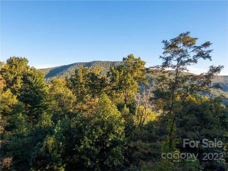 Property image 3 at 156 Stonefly Drive, Horse Shoe, NC 28742