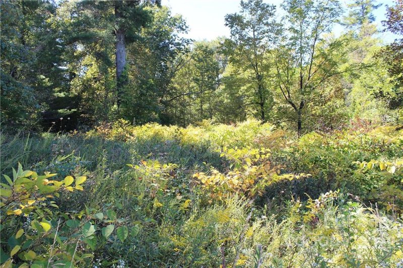 Property image 2 of 90 Oscelake Way in Leonis Mountain Lake Homes, Hendersonville, NC 28739