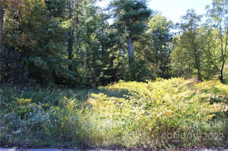 Property image 5 of 90 Oscelake Way in Leonis Mountain Lake Homes, Hendersonville, NC 28739