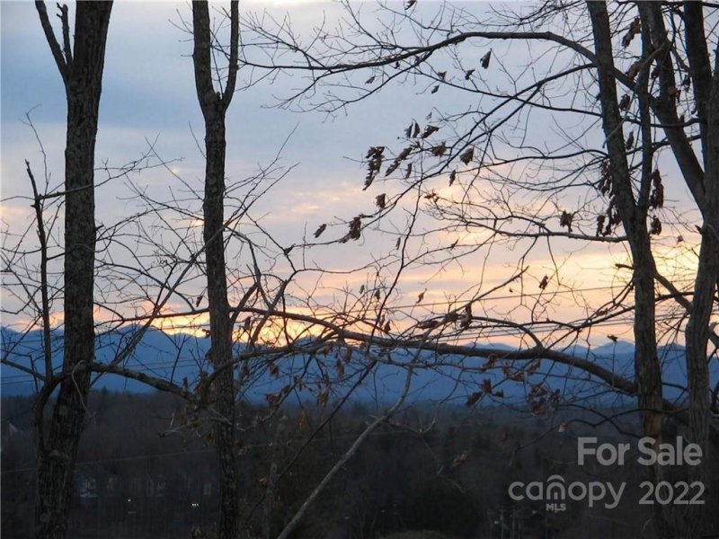 Property image 2 at 14 Hollybrook Drive, Asheville, NC 28803