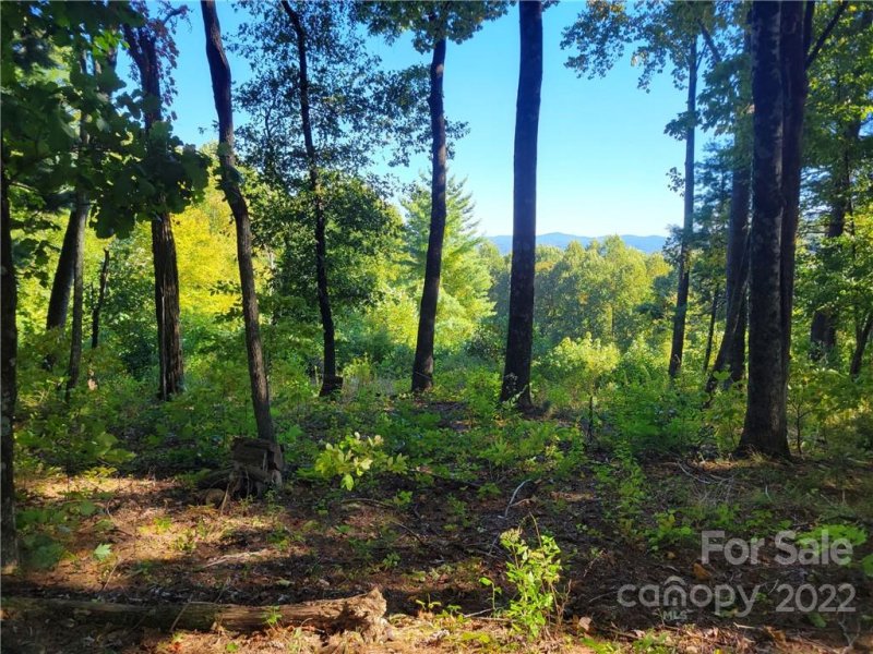 Property image 2 at Lot 188 Dancing Bear Drive, Hendersonville, NC 28792
