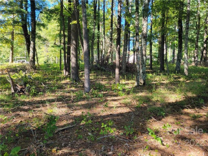 Property image 3 at Lot 188 Dancing Bear Drive, Hendersonville, NC 28792