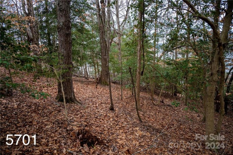 Property image 5 at 5701 Crown Terrace, Hickory, NC 28601