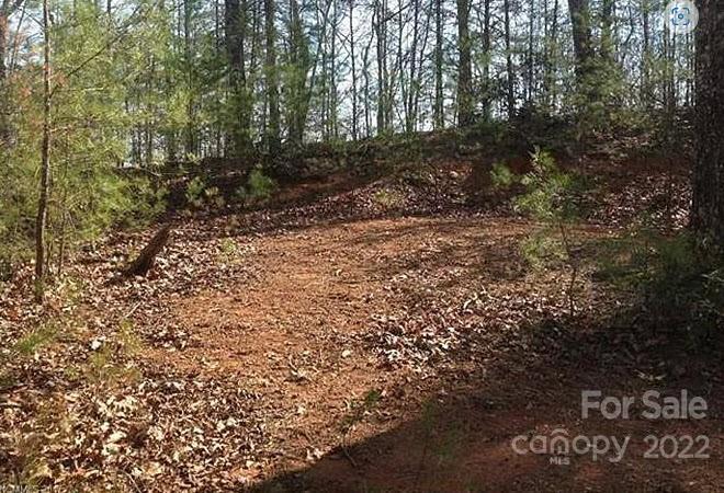 Property image 4 at 0 Bluebird Terrace, Lake Lure, NC 28746