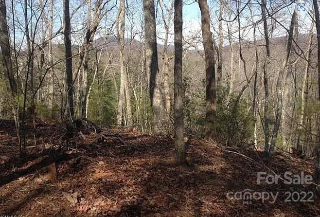 Property image 5 at 0 Bluebird Terrace, Lake Lure, NC 28746