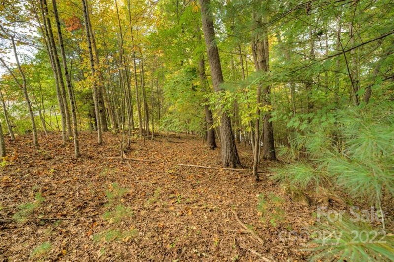 Property image 3 at 2038 Tall Oak Drive, Lenoir, NC 28645