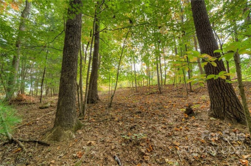 Property image 4 at 2038 Tall Oak Drive, Lenoir, NC 28645